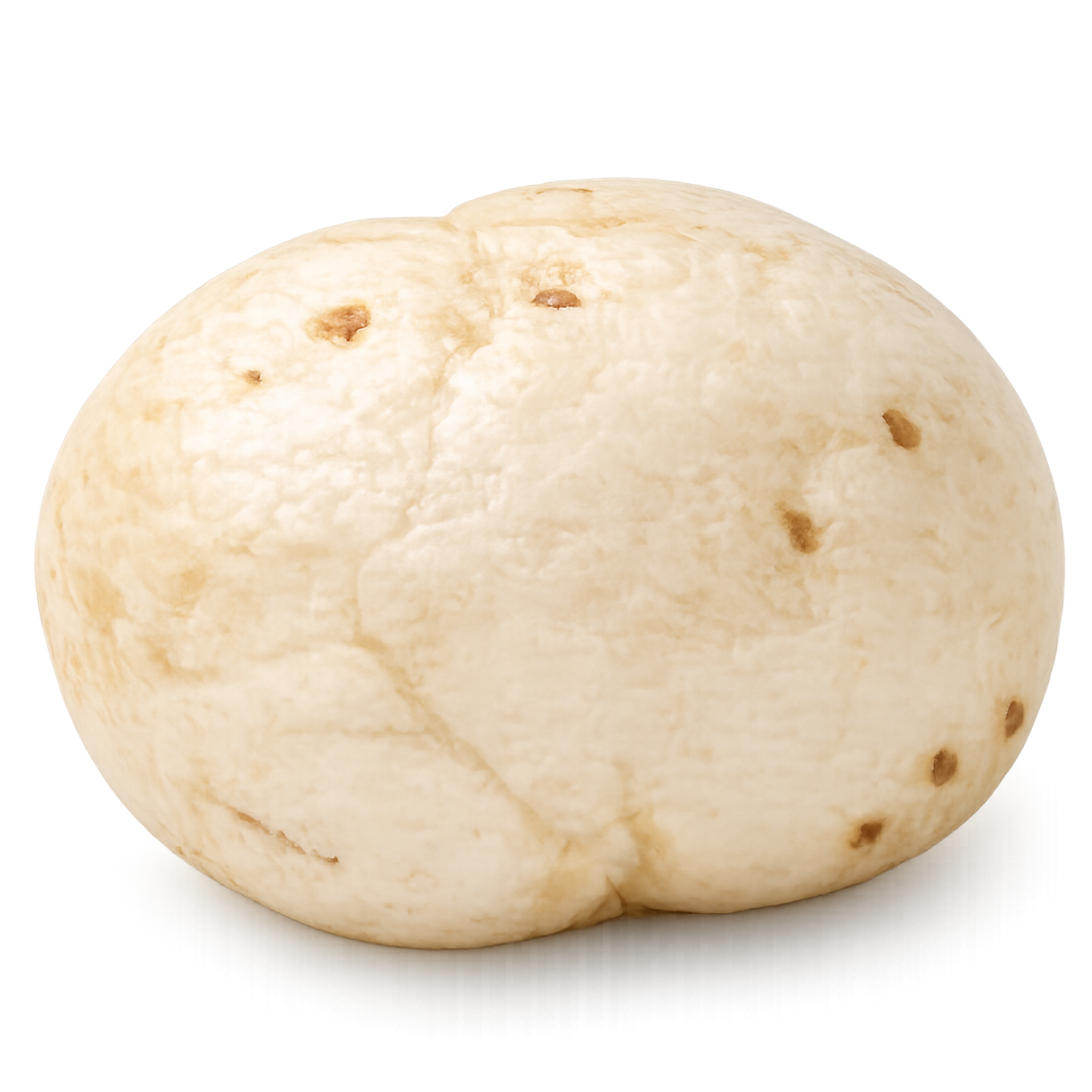 7 Suta extra large export makhana size